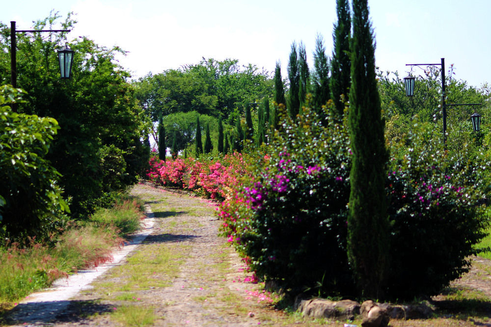 Hacienda San Nicolas De Las Fuentes Teuchitlán Екстериор снимка