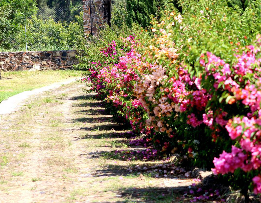 Hacienda San Nicolas De Las Fuentes Teuchitlán Екстериор снимка